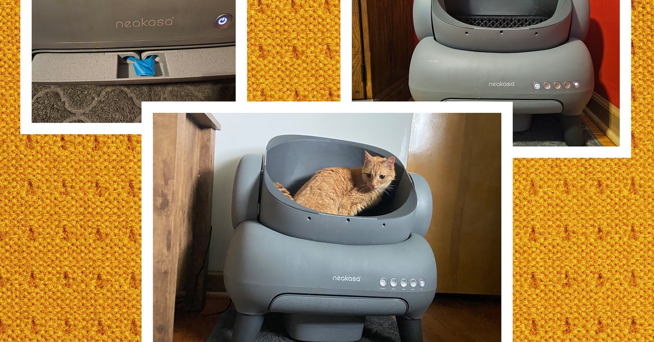 Neakasa M1 Self-Cleaning Litter Box Review: Automated No-Scoop Cleaning