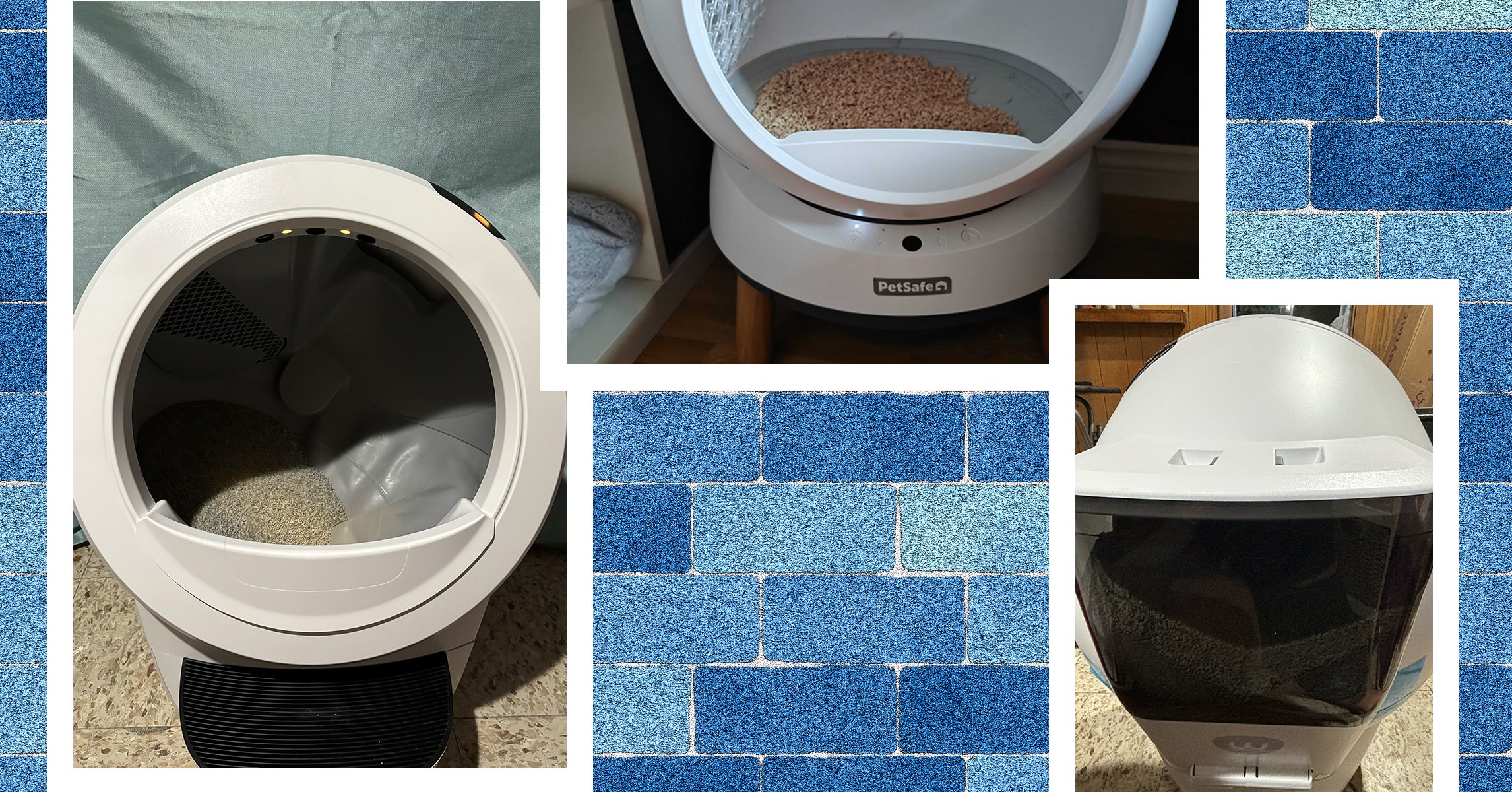 The 5 Automatic Litter Boxes We’ve Tested and Recommend (2024)